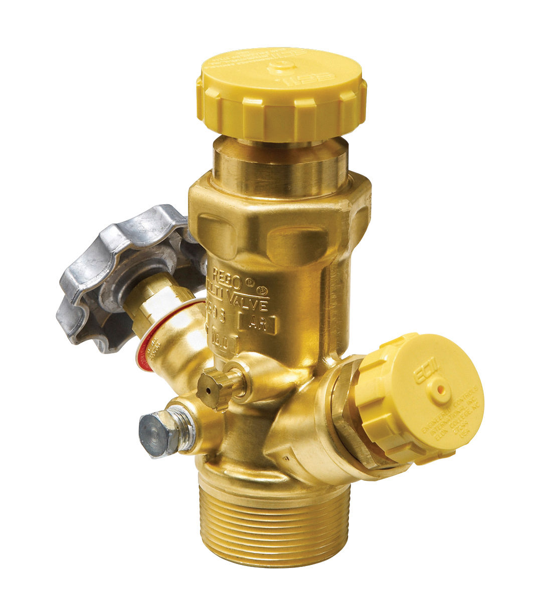 8593AL ASME Multivalve Assemblies for Vapor Withdrawal