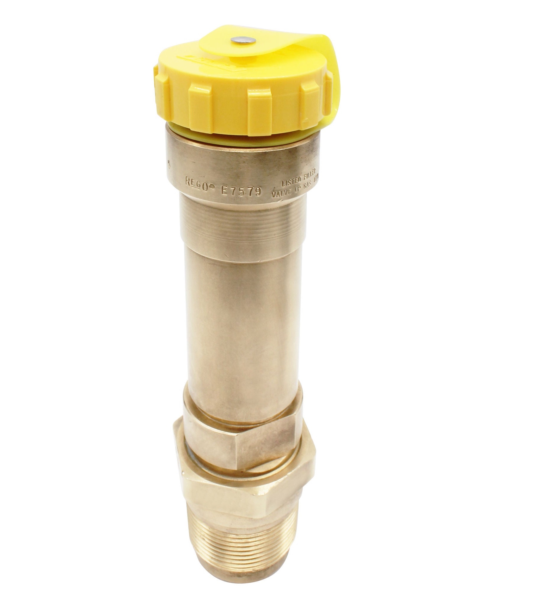 Double-Back Check Valves